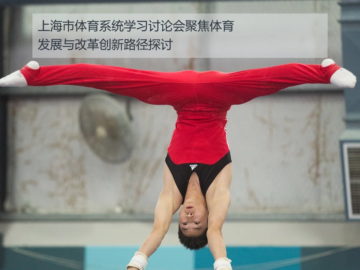 上海市体育系统学习讨论会聚焦体育发展与改革创新路径探讨